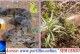 👉🏻🐍🫵🏻🐭🤔⛳😱Jiboia é vista com frequência em área de vegetação no bairro Martim Galego