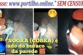 👉🧐🤔🙄😳🐍🐍🐍🐍“SOGRA (COBRA) é retirado do buraco ⛳ 🕳️ da parede 🧱 pelos bombeiros.