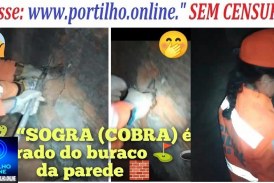 👉🧐🤔🙄😳🐍🐍🐍🐍“SOGRA (COBRA) é retirado do buraco ⛳ 🕳️ da parede 🧱 pelos bombeiros.