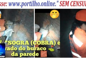 👉🧐🤔🙄😳🐍🐍🐍🐍“SOGRA (COBRA) é retirado do buraco ⛳ 🕳️ da parede 🧱 pelos bombeiros.