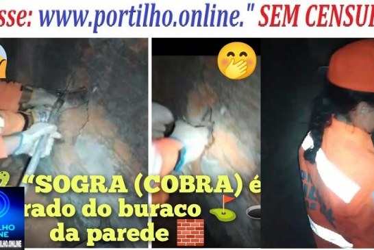 👉🧐🤔🙄😳🐍🐍🐍🐍“SOGRA (COBRA) é retirado do buraco ⛳ 🕳️ da parede 🧱 pelos bombeiros.