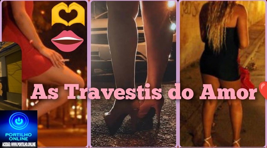 🫵As Travestis do Amor 🫶Quem é a ” Pedrita”?🫣Portilho passa a investigar essas casas de travestis.