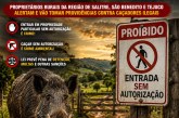 👉🏻🫵🏻🚨🚧🚔👀🤔😡⚖️ javali 🐗 🐷 🐗 PROPRIETÁRIOS RURAIS FAZEM ALERTA: CAÇADORES ESTÃO INVADINDO FAZENDAS SEM AUTORIZAÇÃO
