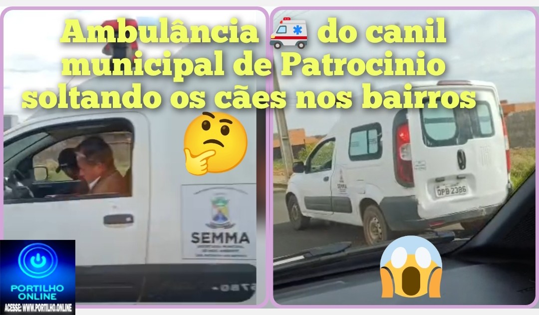 👉🏻🗣️🚨🚔🫵🏻🐕🐕🦺🦮Equipe do cantil soltando os cães em bairro. Ato covarde!😡😤😥😮💨