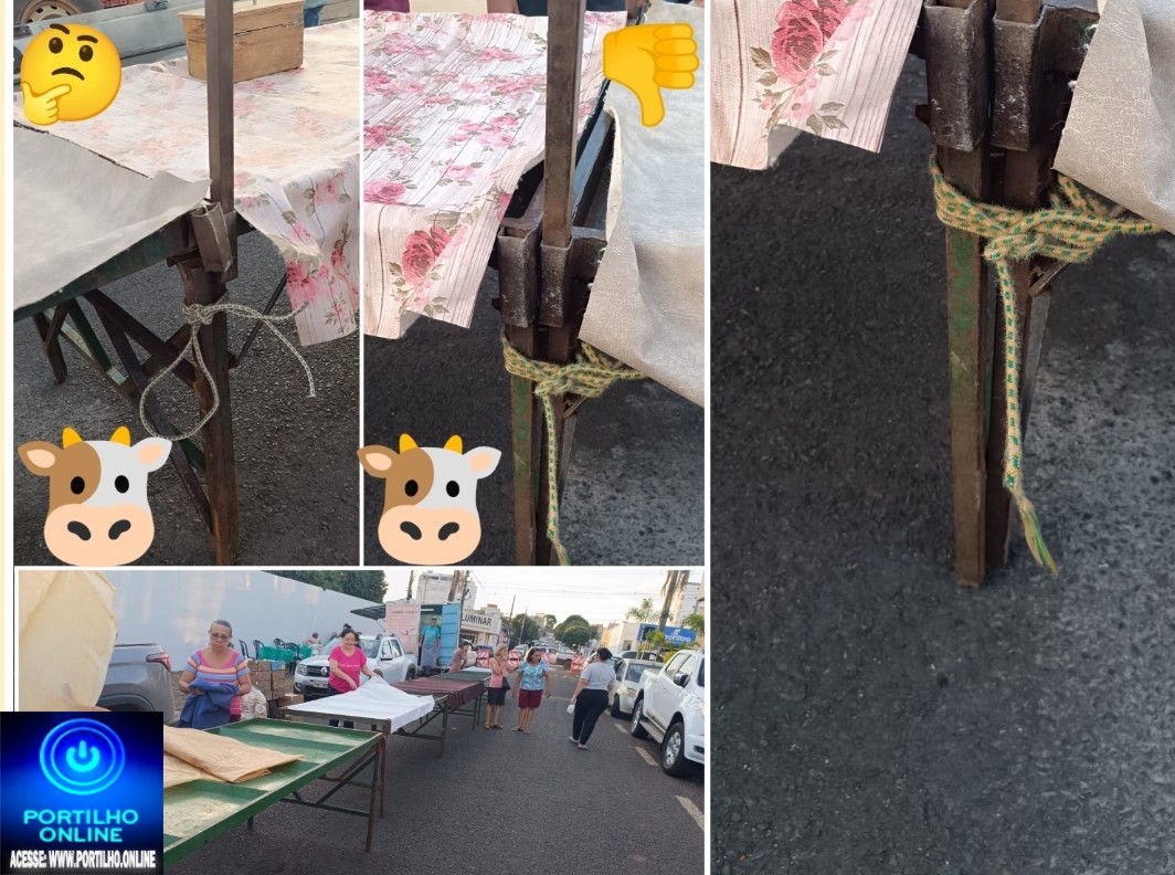 👉🏻🐮⛺🚧👎🏻🩹🤔🐄⛺ Feira do Produtor: “A vaca Mimosa já foi piada” — agora é melhor amarrar as bancas para não cair em cima dos feirantes!