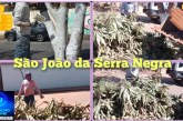 👉🏻🚧👏🏻🙌🏻👍🏻👏🏻👏🏻Secretaria de Obras realiza mutirão de limpeza no distrito de São João da Serra Negra