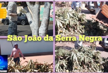 👉🏻🚧👏🏻🙌🏻👍🏻👏🏻👏🏻Secretaria de Obras realiza mutirão de limpeza no distrito de São João da Serra Negra