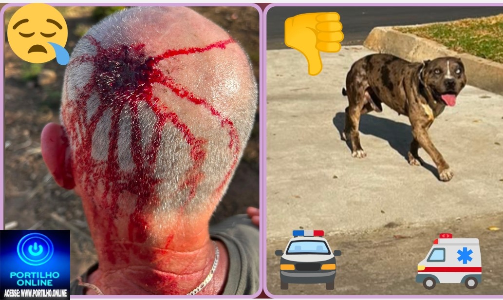 👉🏻🫵🏻🐎🚨 Cadê a justiça? ⚖️ 🫵🏻 🚑😱🚔 CÃES SOLTOS PELAS RUAS PROVOCAM ACIDENTE COM CAVALEIRO