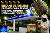 👉🏻🐝🌳👀🚨🚒😱🫣 🐝🌳 RESGATE DE ABELHAS! de abelhas é resgatado em árvore em frente à Secretaria de Educação de Patrocínio