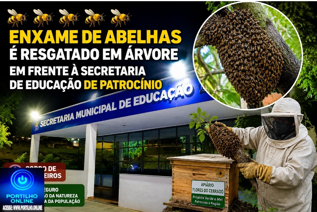 👉🏻🐝🌳👀🚨🚒😱🫣 🐝🌳 RESGATE DE ABELHAS! de abelhas é resgatado em árvore em frente à Secretaria de Educação de Patrocínio