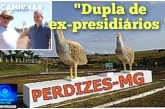 👉🏻🚨👎🏻🚔🥂🍻Cidade de Perdizes: agora prefeito e vice ex-presidiarios. Vergonha 🫣 
