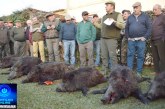 🫵🏻 🐗🚨🫵🏻 INVASÃO DE PROPRIEDADES E CAÇA A JAVALIS: É PRECISO RESPEITAR A LEI E OS LIMITES DAS PROPRIEDADES RURAIS