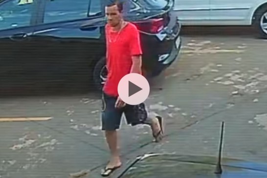 👉📢🚓🚨🚔🚲🧐😠🔎 SABE ESSE LADRÃO DE BICICLETA? ESSE LADRÃO ESCOVADO DEVOLVEU A BIKE
