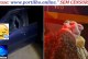 👉🗣📢🚒🚑😱🚨🚔🧐Casal é preso após deixar bebê trancada em carro para ir a baile funk na Grande BH