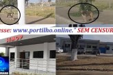 👉🐶 ÔH, PORTILHO, CÊ TÁ BÃO? 😂 Soltaram mais uma “viagem de cães aqui perto do Bernardão”
