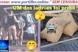 👉🏻😂🫣🚨🚔😱👍🏻👊🏻🤜🏻👀🤛🏻☕ CAFÉ ROUBADO! Após vídeo ser divulgado pelo Portilho.Online,” a dupla de dois o gordo e o magro teve que devolver as três sacas  ao local de origem 😂🫣🤣