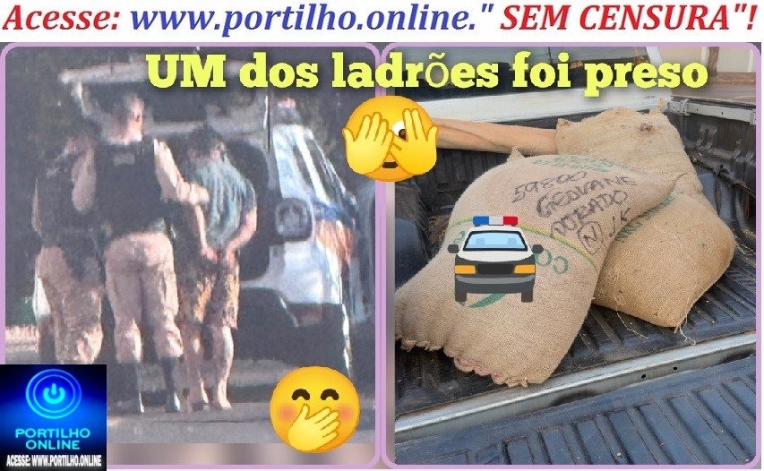 👉🏻😂🫣🚨🚔😱👍🏻👊🏻🤜🏻👀🤛🏻☕ CAFÉ ROUBADO! Após vídeo ser divulgado pelo Portilho.Online,” a dupla de dois o gordo e o magro teve que devolver as três sacas ao local de origem 😂🫣🤣