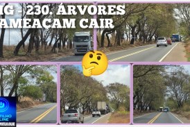 👉🏻🚧🚨😱👎🏻🚛🫵🏻🌳 PERIGO NA MG-230: ÁRVORES QUEIMADAS AMEAÇAM MOTORISTAS E PEDEM PROVIDÊNCIAS URGENTES