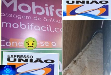 👉🏻🫵🏻🪳🤮😤🪳🚌 Expresso União. Boa noite!  Olha aí a ” sala vip do expresso União” na rodoviária de Uberlândia barata 🪳 🪳 🤮 🤢 🤮🕷️🪳