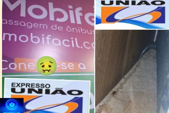 👉🏻🫵🏻🪳🤮😤🪳🚌 Expresso União. Boa noite!  Olha aí a ” sala vip do expresso União” na rodoviária de Uberlândia barata 🪳 🪳 🤮 🤢 🤮🕷️🪳