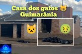 👉🏻🚔🗣️🚨😹🤮🤢💩Guimarânia! Quem é a ” barraqueira”?!🤔🫵🏻😱Boa tarde Portilho ELA ela é bem barraqueira