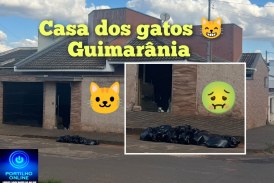 👉🏻🚔🗣️🚨😹🤮🤢💩Guimarânia! Quem é a ” barraqueira”?!🤔🫵🏻😱Boa tarde Portilho ELA ela é bem barraqueira