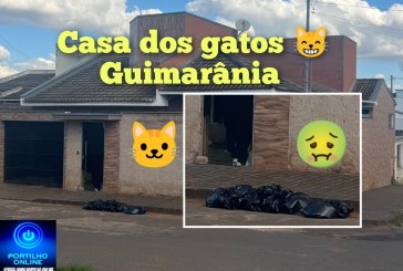 👉🏻🚔🗣️🚨😹🤮🤢💩Guimarânia! Quem é a ” barraqueira”?!🤔🫵🏻😱Boa tarde Portilho ELA ela é bem barraqueira