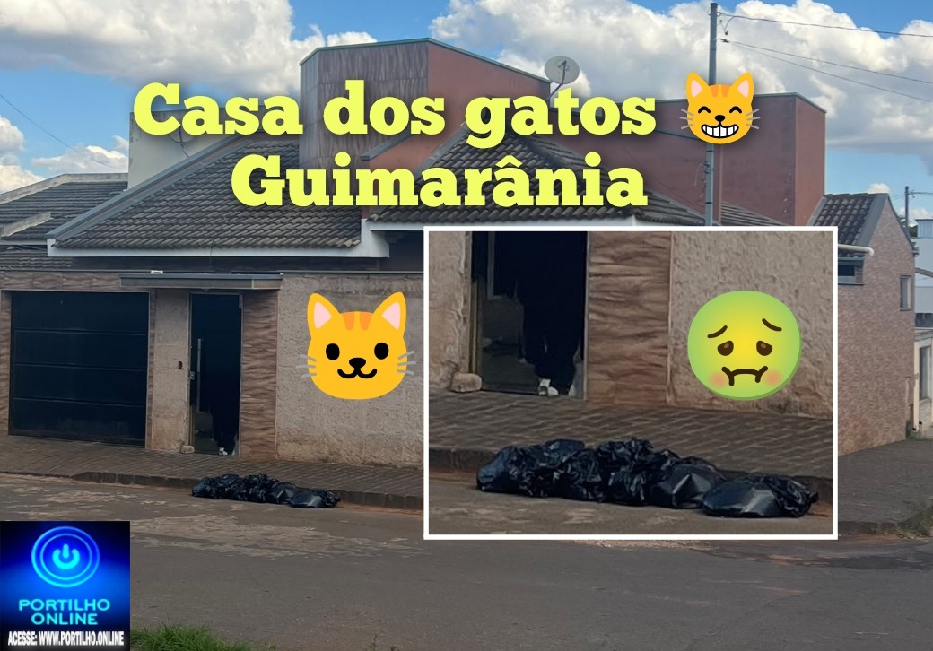 👉🏻🚔🗣️🚨😹🤮🤢💩Guimarânia! Quem é a ” barraqueira”?!🤔🫵🏻😱Boa tarde Portilho ELA ela é bem barraqueira