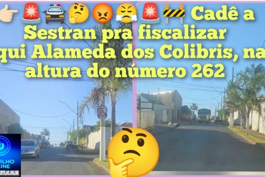 👉🏻🚨🚔🤔😡😤🚨🚧🛑🚦Bom dia, amigo Portilho!! Cadê a Sestran pra fiscalizar esses malucos dublê de tocador de veículo aqui Alameda dos Colibris, na altura do número 262