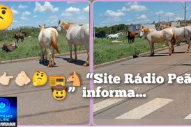 🐎🐴😤🤔🚧🚨 “TROPA DE BOIADA” VOLTA COM FORÇA TOTAL! MORADORES DIZEM QUE JÁ NÃO SABEM A QUEM RECORRER 🐴🐎🚨
