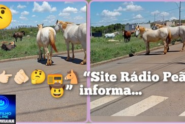 🐎🐴😤🤔🚧🚨 “TROPA DE BOIADA” VOLTA COM FORÇA TOTAL! MORADORES DIZEM QUE JÁ NÃO SABEM A QUEM RECORRER 🐴🐎🚨