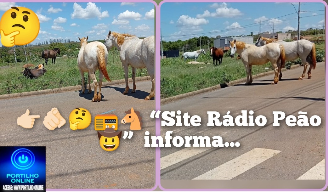 🐎🐴😤🤔🚧🚨 “TROPA DE BOIADA” VOLTA COM FORÇA TOTAL! MORADORES DIZEM QUE JÁ NÃO SABEM A QUEM RECORRER 🐴🐎🚨