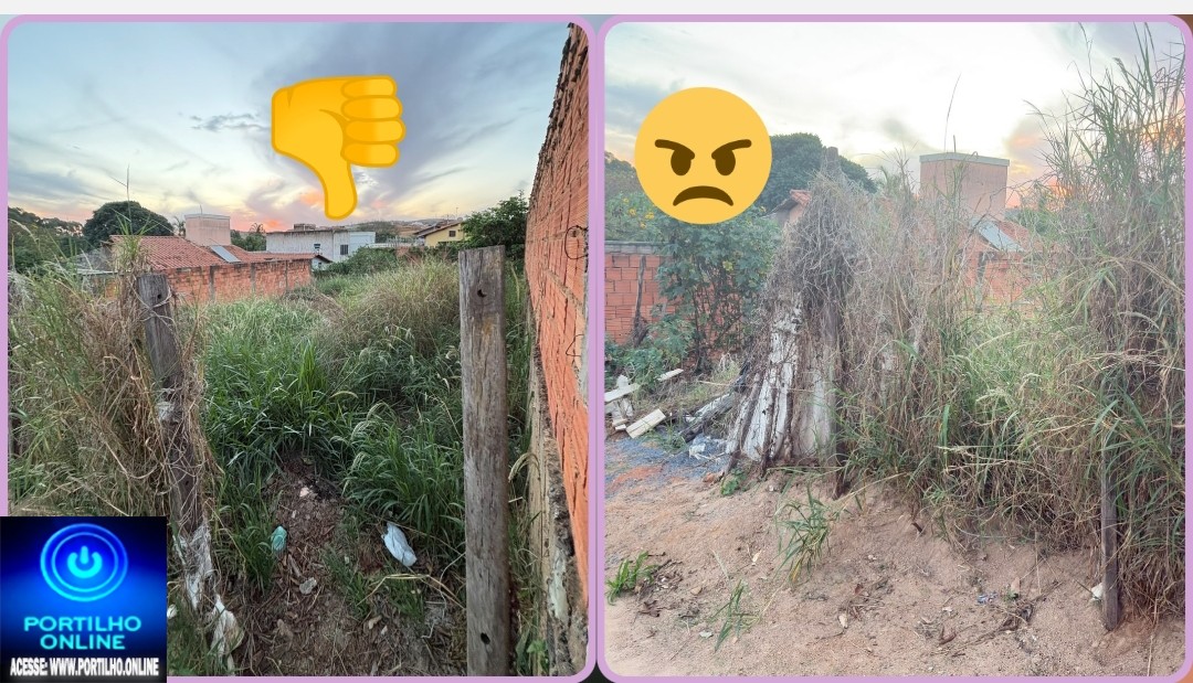 👉🏻😱😤🚨🗑🌿 LOTE ABANDONADO! MORADORES RECLAMAM DE LIXO E MATO ALTO NO BAIRRO IPIRANGA
