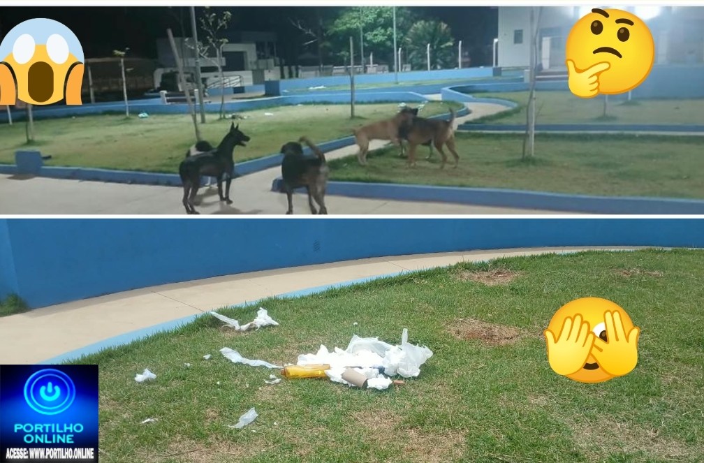 👉🏻🚧🤔🗣️🚨👎🏻🐶🦮Portilho tudo bom Olha a situação praça da igreja São João Paulo