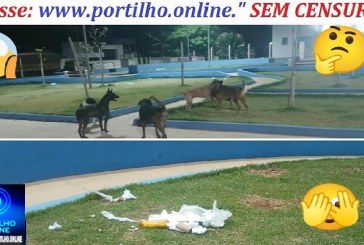 👉🏻🚧🤔🗣️🚨👎🏻🐶🦮Portilho tudo bom Olha a situação praça da igreja São João Paulo