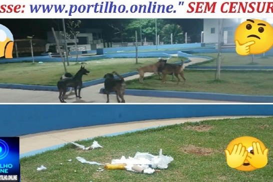 👉🏻🚧🤔🗣️🚨👎🏻🐶🦮Portilho tudo bom Olha a situação praça da igreja São João Paulo