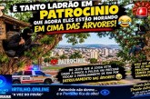 👉🏻🚓😱🚨🚔☠️💀👽😈👺👹A insegurança publica  tá tão descontrolada que os ladrões estão de ” tocaia “nas árvores da praça da matriz