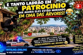 👉🏻🚓😱🚨🚔☠️💀👽😈👺👹A insegurança publica  tá tão descontrolada que os ladrões estão de ” tocaia “nas árvores da praça da matriz