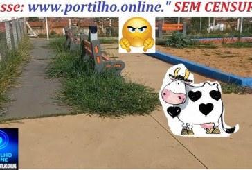 👉🏻🫵🏻😱🚨🌳🏚️ PRACINHA ABANDONADA NO JARDIM SUL: “CADÊ A VAQUINHA MIMOSA?” 🤔🐄