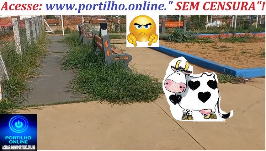 👉🏻🫵🏻😱🚨🌳🏚️ PRACINHA ABANDONADA NO JARDIM SUL: “CADÊ A VAQUINHA MIMOSA?” 🤔🐄