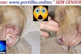 👉🗣🚨💉💉💉💊Posta isso para mim Portilho. Vacinei meus dois caes e os dois morreram