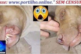 👉🗣🚨💉💉💉💊Posta isso para mim Portilho. Vacinei meus dois caes e os dois morreram