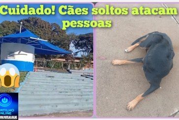 👉🏻😱🫵🏻😤🐕‍🦺🦮🐕Praça tiro de guerra. Portilho tão perdendo os cachorros aqui dentro da guritinha da praça