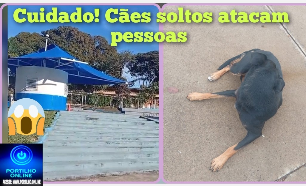 👉🏻😱🫵🏻😤🐕‍🦺🦮🐕Praça tiro de guerra. Portilho tão perdendo os cachorros aqui dentro da guritinha da praça