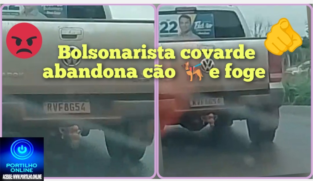 👉🏻😠🚨🫵🏻🐕🦺😱Portílho esse covarde dessa caminhonete abandonou o cão no trevo e ele saiu correndo atrás. Covardão.