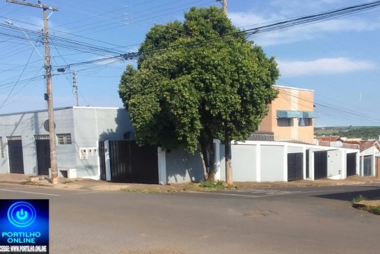 👉🏻🔌🤔🚨🗣🌳💡😡⚡ ÁRVORE NA ESQUINA: PERIGO DE CHOQUE ELÉTRICO E RISCO À VISIBILIDADE DOS MOTORISTAS! 🚧⚡