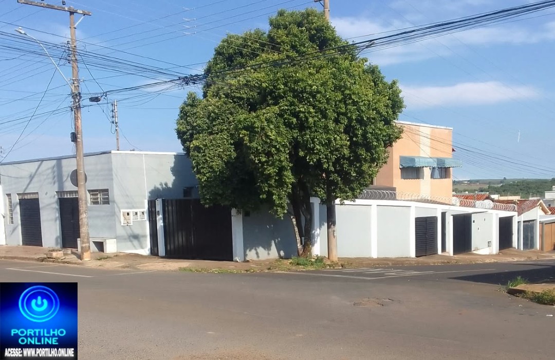 👉🏻🔌🤔🚨🗣🌳💡😡⚡ ÁRVORE NA ESQUINA: PERIGO DE CHOQUE ELÉTRICO E RISCO À VISIBILIDADE DOS MOTORISTAS! 🚧⚡