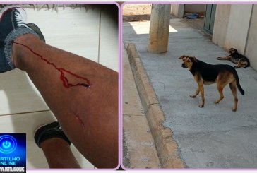 🚨🐕😱 UTILIDADE PÚBLICA | MORADORES DO JARDIM DAS OLIVEIRAS ESTÃO APAVORADOS COM ATAQUES DE CÃES! ⚠️🫣