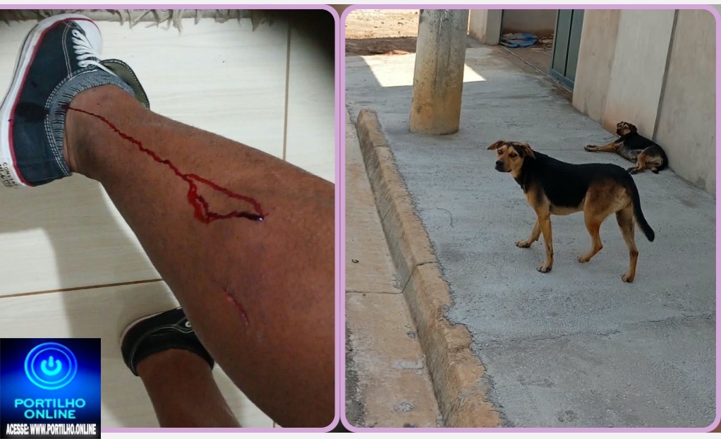 🚨🐕😱 UTILIDADE PÚBLICA | MORADORES DO JARDIM DAS OLIVEIRAS ESTÃO APAVORADOS COM ATAQUES DE CÃES! ⚠️🫣