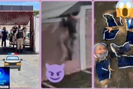 👉🏻🚔😱👺☠️😈🫵🏻🚨🚔🧱 ARROMBAMENTO NO COMITÊ DO LULA! MATERIAIS DE CAMPANHA TERIAM SIDO FURTADOS E DESTRUÍDOS! 🕵️‍♂️🚨